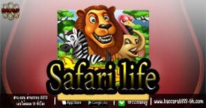 Safari life